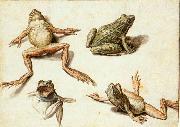 GHEYN, Jacob de II Four Studies of Frogs china oil painting reproduction